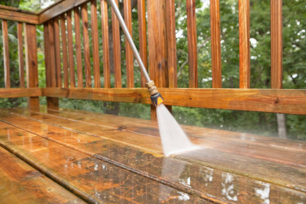 Best Animal Enclosure Cleaning  in Chain Lake, WA